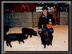 Salon de l'agriculture 2000