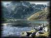 Lacquettes du Lac de "Tracens".